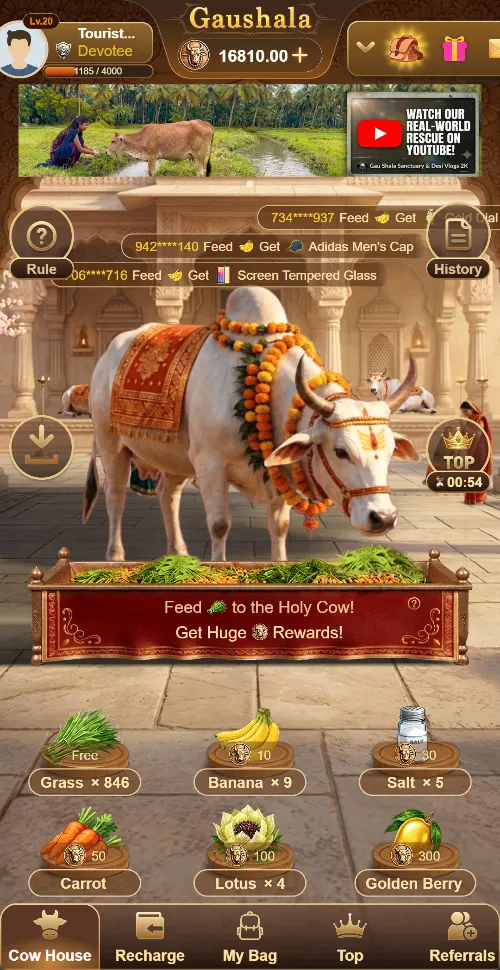 Cowaa virtual cow-care game on a mobile phone