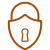 100% Secure